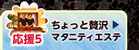 ちょっと贅沢マタニティエステ